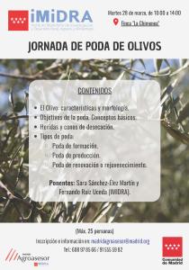 Jornada de poda de olivos